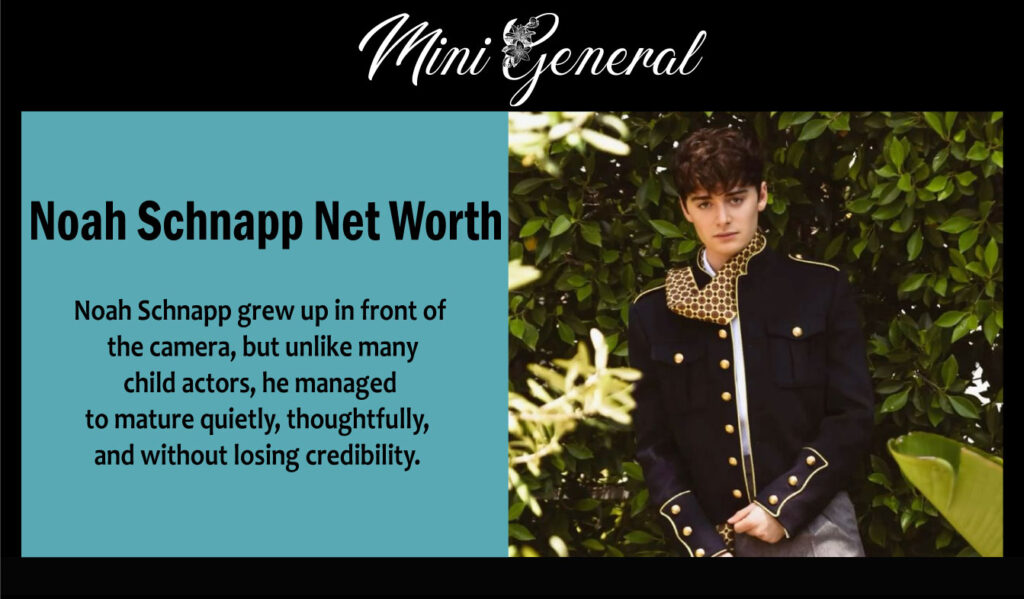Noah Schnapp Net Worth