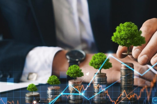 What Elements Define a Strong and Sustainable Wealth Strategy?