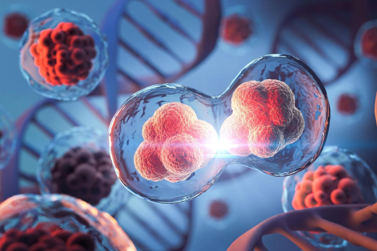 Why Tissue Samples Are Key to Understanding Cell Biology Research